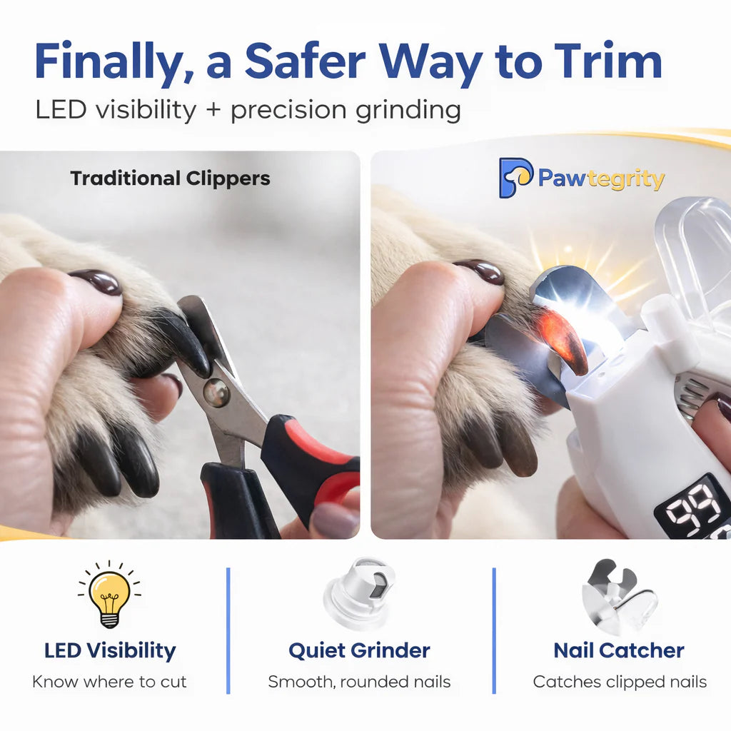 Wallure | LED Nail Clipper