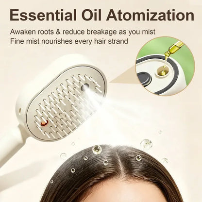 Wallure™│ 5 in 1  Air Cushion Brush