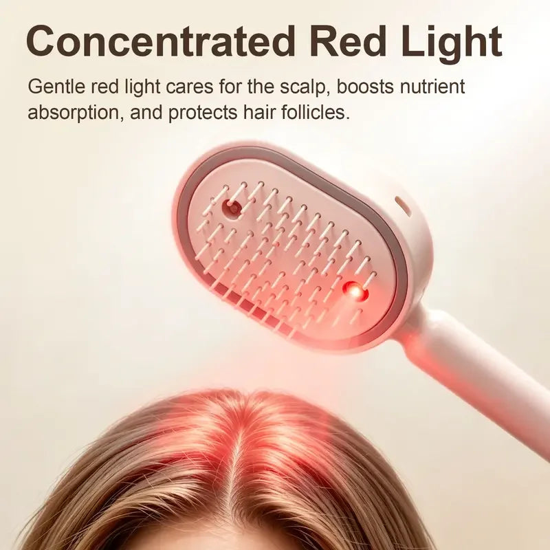 Wallure™│ 5 in 1  Air Cushion Brush