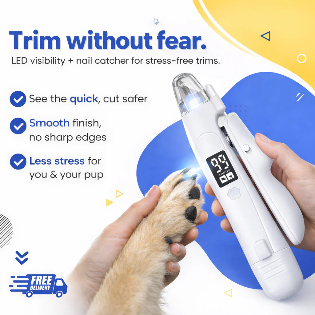 Wallure | LED  Nail Clipper